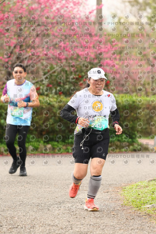 2026左岸竹東櫻花馬拉松Zhudong Sakura Marathon