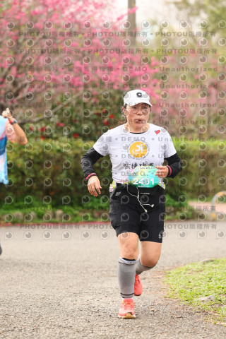 2026左岸竹東櫻花馬拉松Zhudong Sakura Marathon