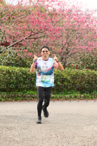 2026左岸竹東櫻花馬拉松Zhudong Sakura Marathon