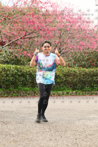 2026左岸竹東櫻花馬拉松Zhudong Sakura Marathon