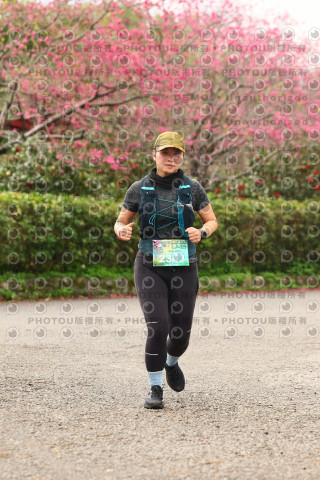 2026左岸竹東櫻花馬拉松Zhudong Sakura Marathon