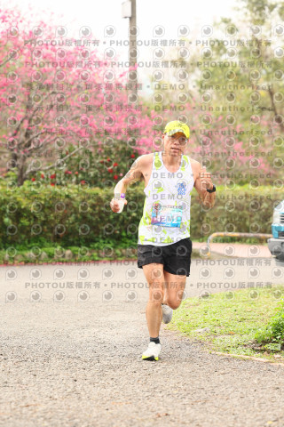 2026左岸竹東櫻花馬拉松Zhudong Sakura Marathon