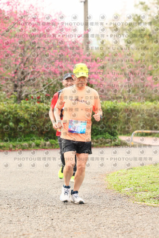 2026左岸竹東櫻花馬拉松Zhudong Sakura Marathon
