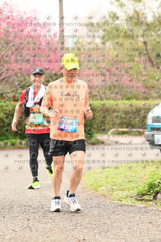 2026左岸竹東櫻花馬拉松Zhudong Sakura Marathon