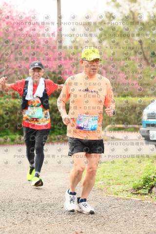 2026左岸竹東櫻花馬拉松Zhudong Sakura Marathon