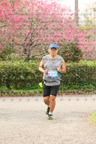 2026左岸竹東櫻花馬拉松Zhudong Sakura Marathon