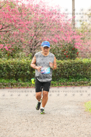 2026左岸竹東櫻花馬拉松Zhudong Sakura Marathon