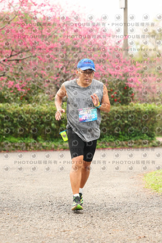 2026左岸竹東櫻花馬拉松Zhudong Sakura Marathon