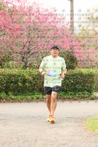 2026左岸竹東櫻花馬拉松Zhudong Sakura Marathon
