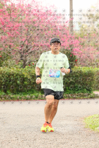 2026左岸竹東櫻花馬拉松Zhudong Sakura Marathon