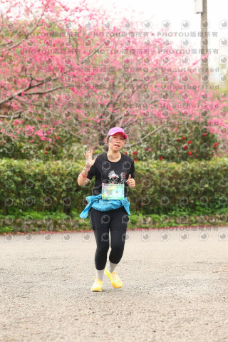 2026左岸竹東櫻花馬拉松Zhudong Sakura Marathon