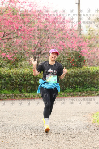 2026左岸竹東櫻花馬拉松Zhudong Sakura Marathon