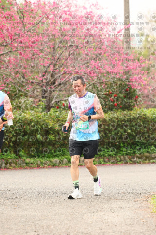 2026左岸竹東櫻花馬拉松Zhudong Sakura Marathon