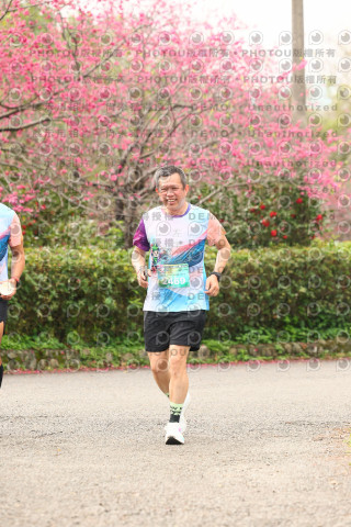 2026左岸竹東櫻花馬拉松Zhudong Sakura Marathon