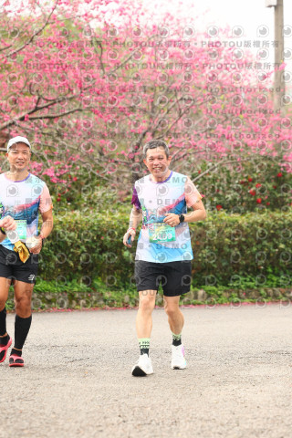 2026左岸竹東櫻花馬拉松Zhudong Sakura Marathon