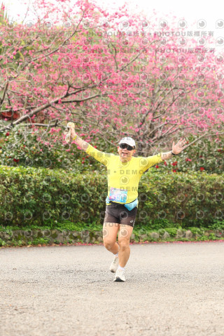 2026左岸竹東櫻花馬拉松Zhudong Sakura Marathon