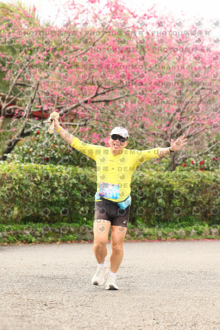 2026左岸竹東櫻花馬拉松Zhudong Sakura Marathon