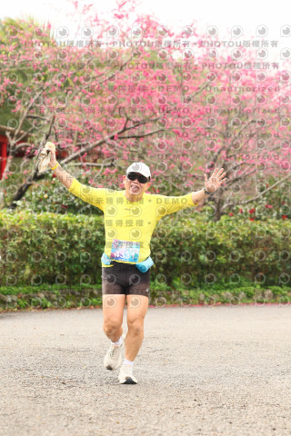 2026左岸竹東櫻花馬拉松Zhudong Sakura Marathon