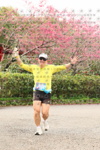 2026左岸竹東櫻花馬拉松Zhudong Sakura Marathon