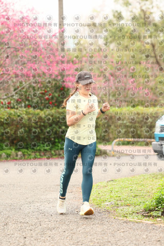 2026左岸竹東櫻花馬拉松Zhudong Sakura Marathon