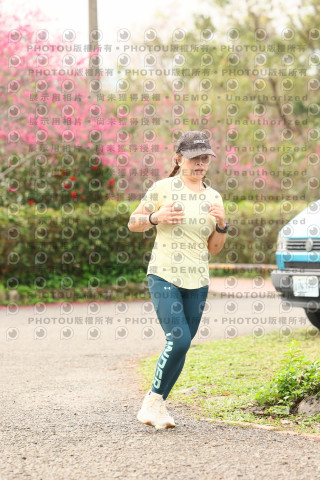 2026左岸竹東櫻花馬拉松Zhudong Sakura Marathon