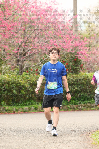 2026左岸竹東櫻花馬拉松Zhudong Sakura Marathon