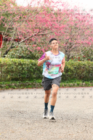 2026左岸竹東櫻花馬拉松Zhudong Sakura Marathon