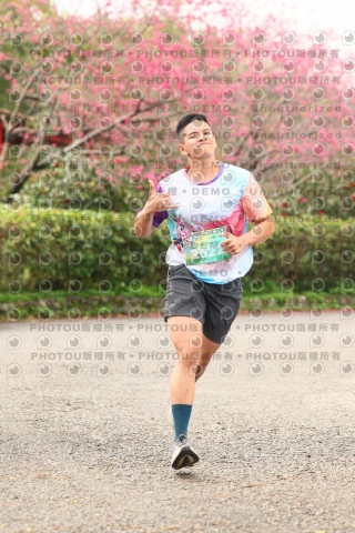 2026左岸竹東櫻花馬拉松Zhudong Sakura Marathon