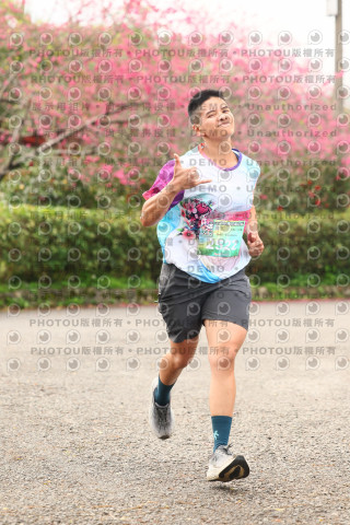 2026左岸竹東櫻花馬拉松Zhudong Sakura Marathon