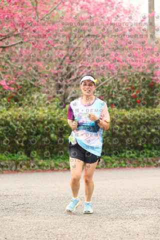 2026左岸竹東櫻花馬拉松Zhudong Sakura Marathon