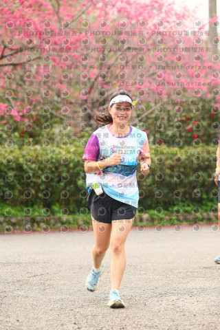 2026左岸竹東櫻花馬拉松Zhudong Sakura Marathon