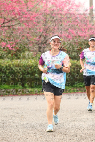 2026左岸竹東櫻花馬拉松Zhudong Sakura Marathon