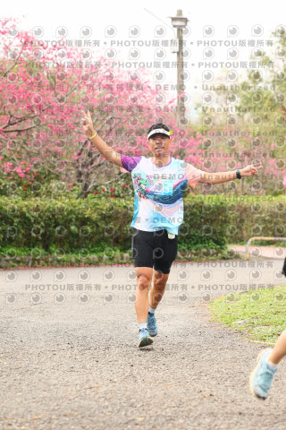 2026左岸竹東櫻花馬拉松Zhudong Sakura Marathon