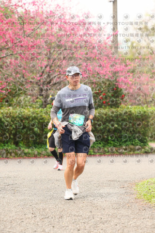 2026左岸竹東櫻花馬拉松Zhudong Sakura Marathon
