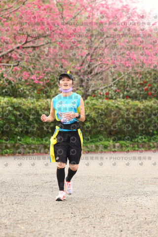 2026左岸竹東櫻花馬拉松Zhudong Sakura Marathon
