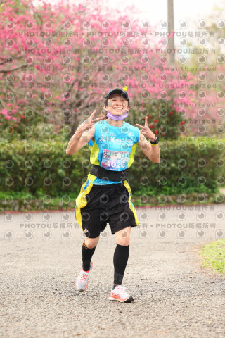 2026左岸竹東櫻花馬拉松Zhudong Sakura Marathon