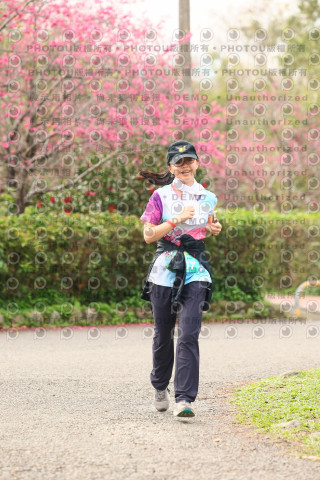 2026左岸竹東櫻花馬拉松Zhudong Sakura Marathon