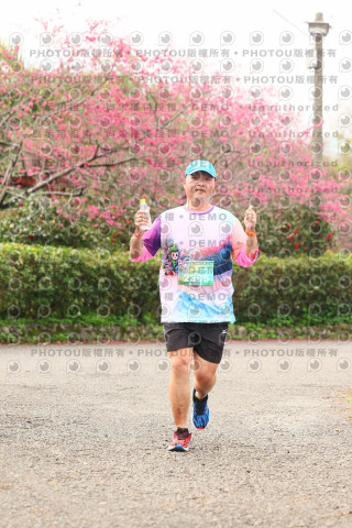 2026左岸竹東櫻花馬拉松Zhudong Sakura Marathon