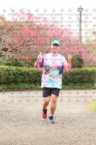 2026左岸竹東櫻花馬拉松Zhudong Sakura Marathon