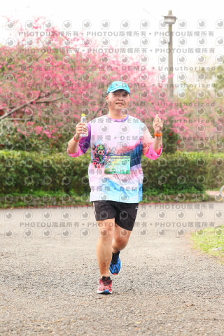 2026左岸竹東櫻花馬拉松Zhudong Sakura Marathon