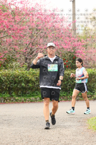 2026左岸竹東櫻花馬拉松Zhudong Sakura Marathon