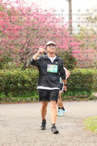 2026左岸竹東櫻花馬拉松Zhudong Sakura Marathon