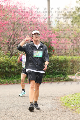 2026左岸竹東櫻花馬拉松Zhudong Sakura Marathon