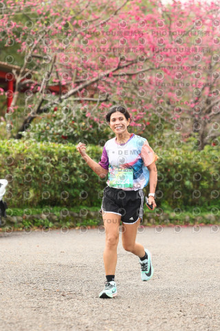 2026左岸竹東櫻花馬拉松Zhudong Sakura Marathon