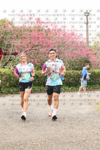 2026左岸竹東櫻花馬拉松Zhudong Sakura Marathon