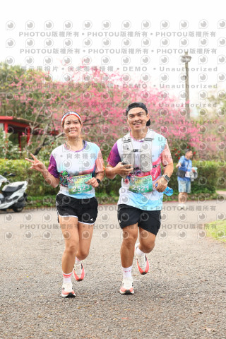 2026左岸竹東櫻花馬拉松Zhudong Sakura Marathon