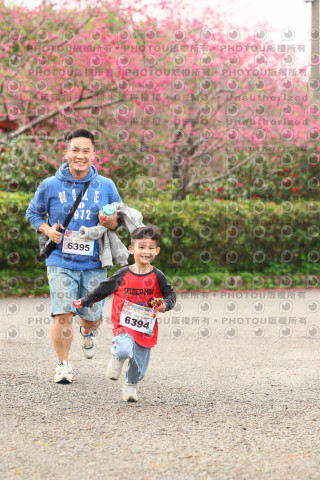 2026左岸竹東櫻花馬拉松Zhudong Sakura Marathon