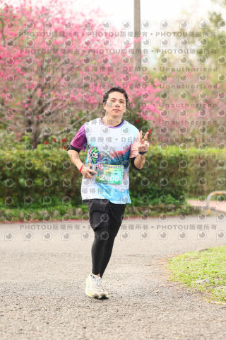 2026左岸竹東櫻花馬拉松Zhudong Sakura Marathon