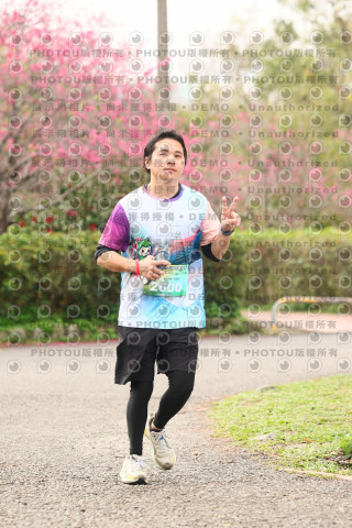 2026左岸竹東櫻花馬拉松Zhudong Sakura Marathon