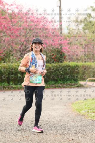 2026左岸竹東櫻花馬拉松Zhudong Sakura Marathon